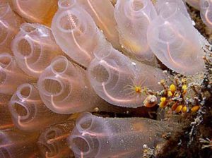 We don't currently have content here